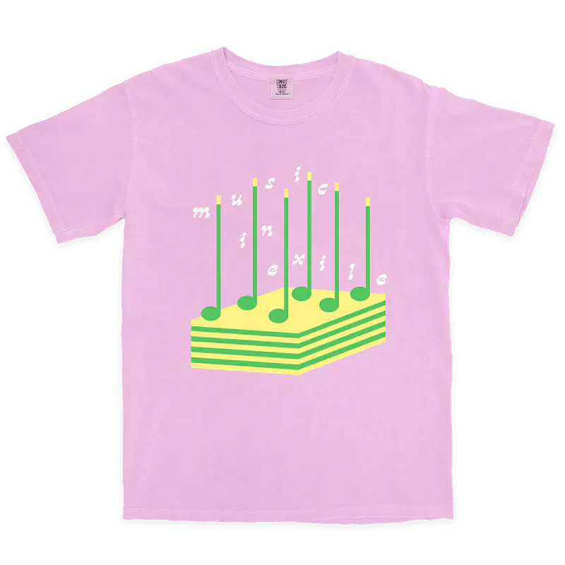 6th bday t-shirt